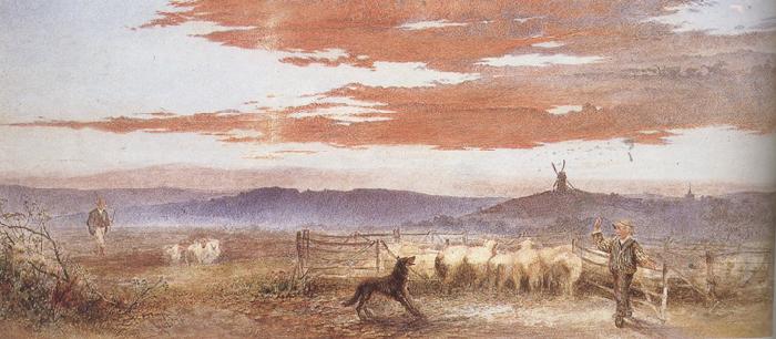 Frederick james shields Gathering the Flock at Sunset (mk37) oil painting image